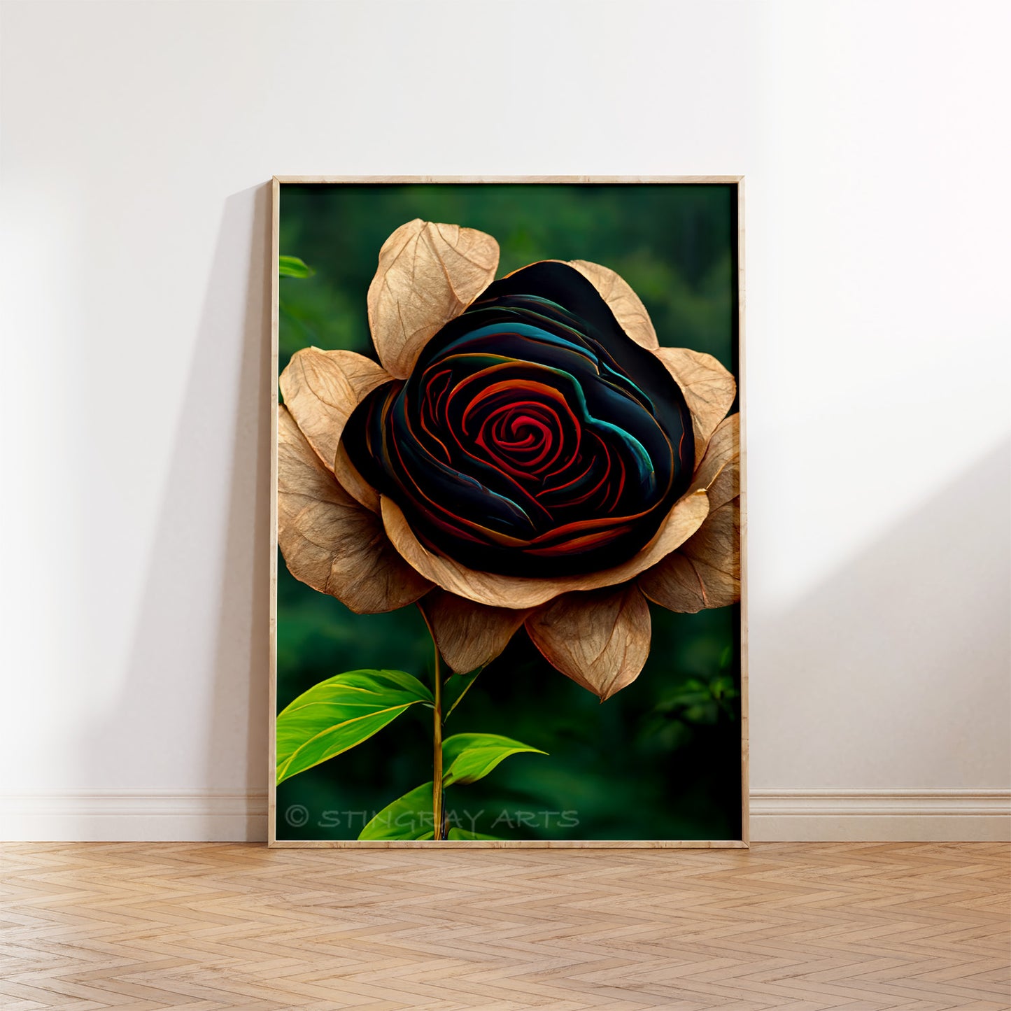 Colourful Petals Black Rose Prints