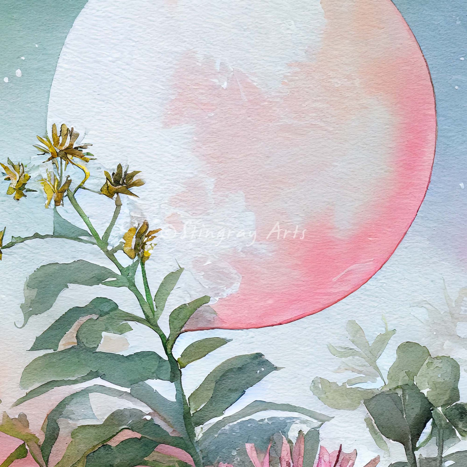 Pink Moonflowers Prints