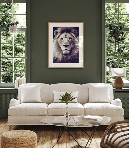 Wild African Lion Prints