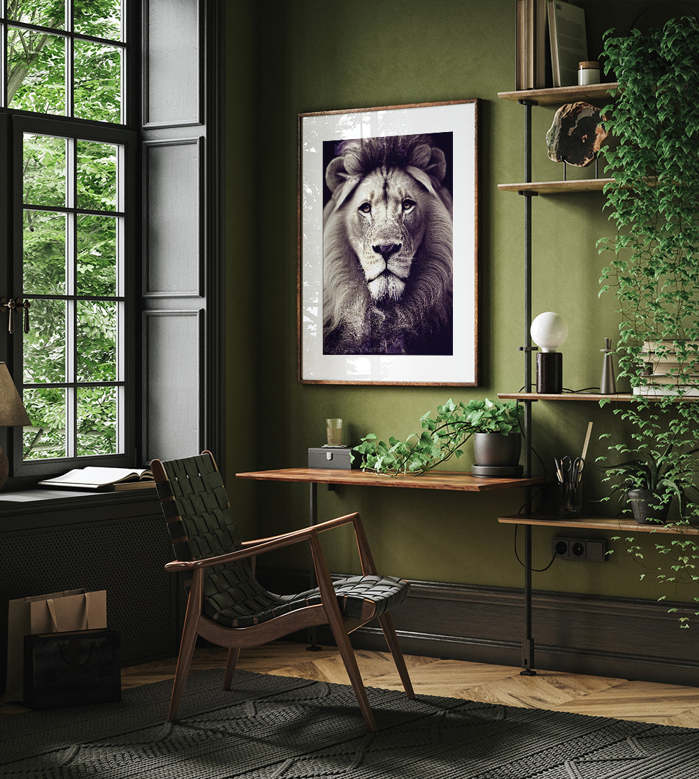 Wild African Lion Prints