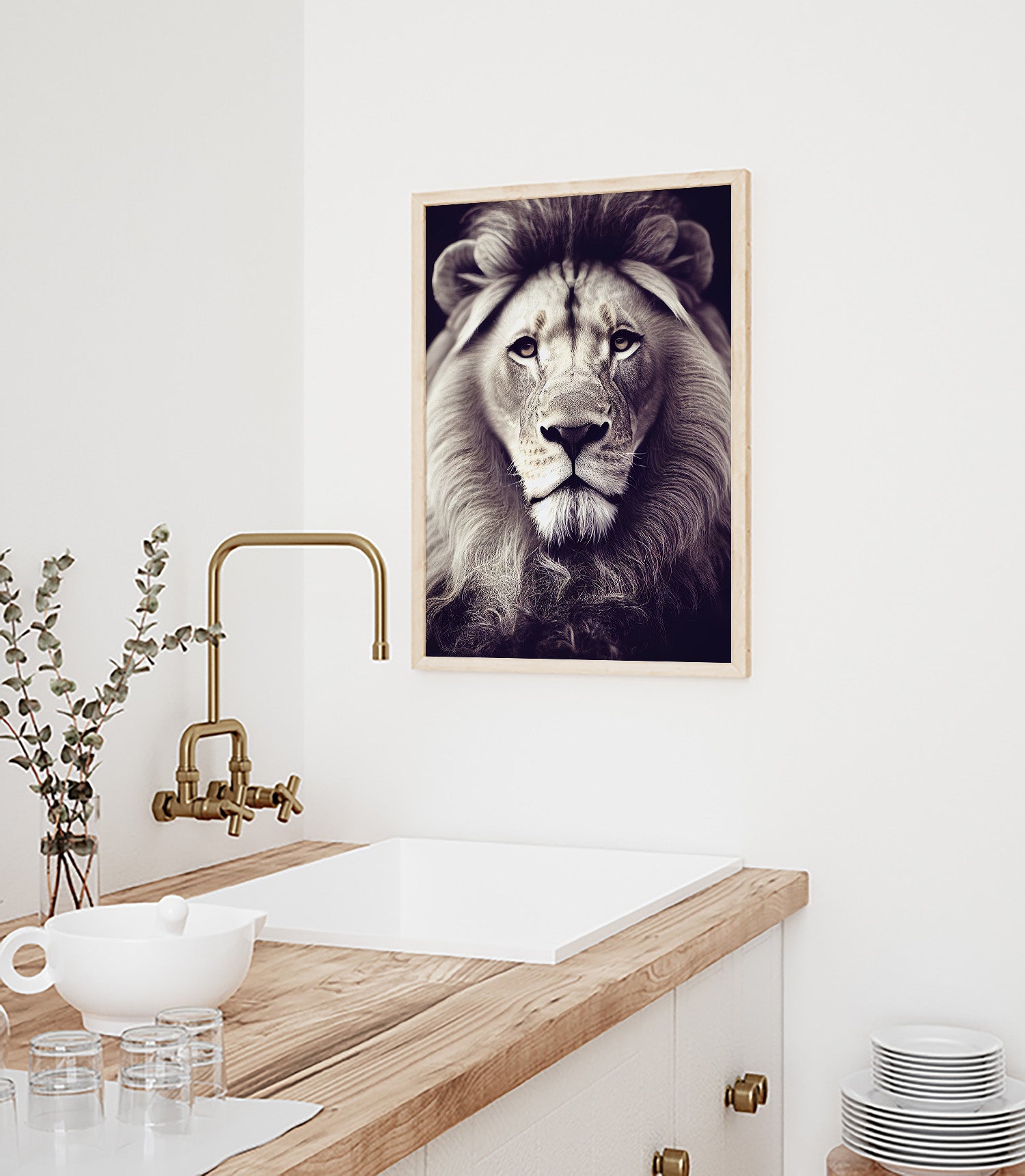 Wild African Lion Prints