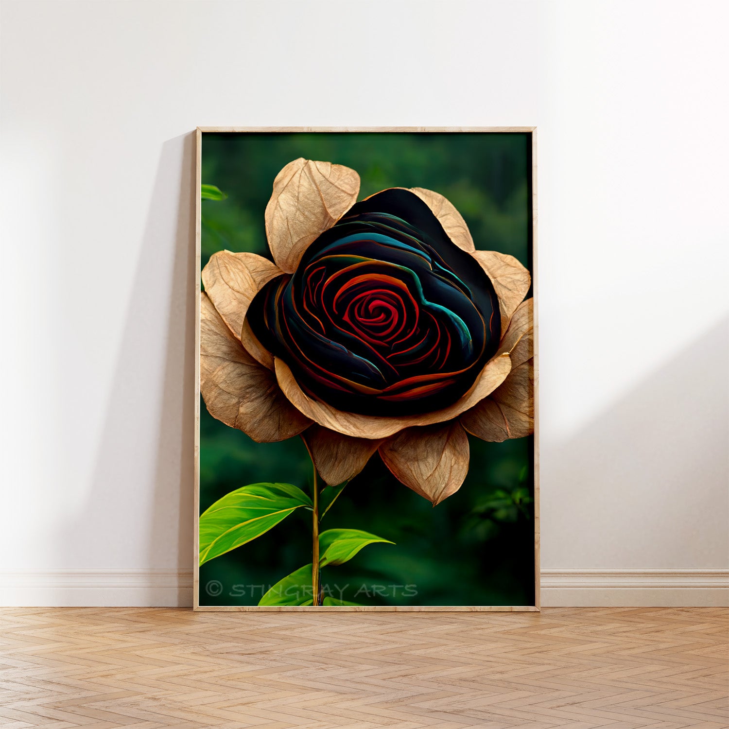 Colourful Petals Black Rose Prints