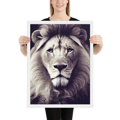 Wild African Lion Prints