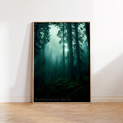 Sunlight In A Foggy Forest Prints