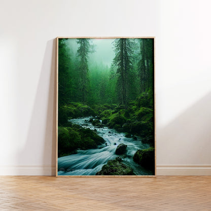 Flowing River In Green Mossy Forest Prints