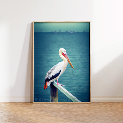 Pelican On A Beach Pier Prints